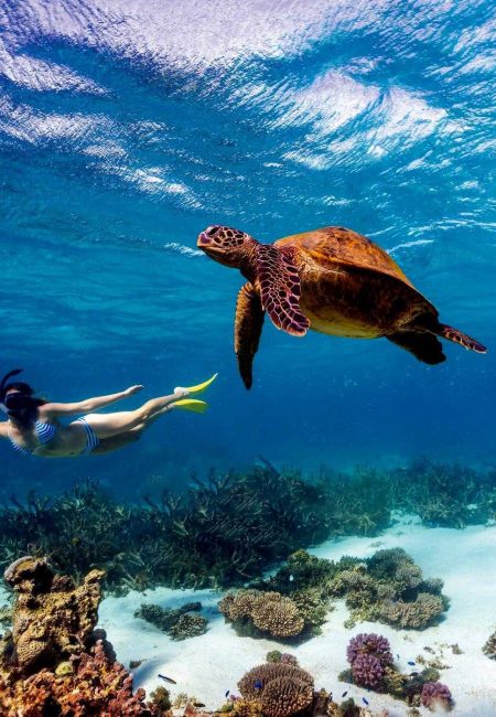 Kisite-Marine-Park Kisite-Marine-Park