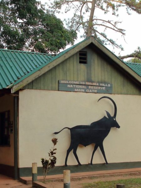 Shimba-Hills-National-Reserve-Kenya Shimba-Hills-National-Reserve-Kenya