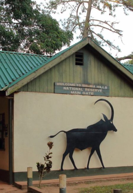 Shimba-Hills-National-Reserve-Kenya Shimba-Hills-National-Reserve-Kenya