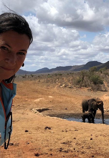 kenia-safari-elephant-tour-amin-guide kenia-safari-elephant-tour-amin-guide