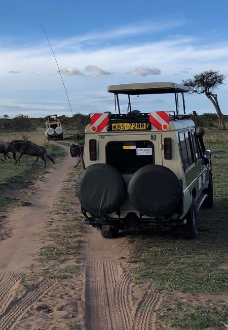 slider-kenya-wildife-viewing-drive slider-kenya-wildife-viewing-drive