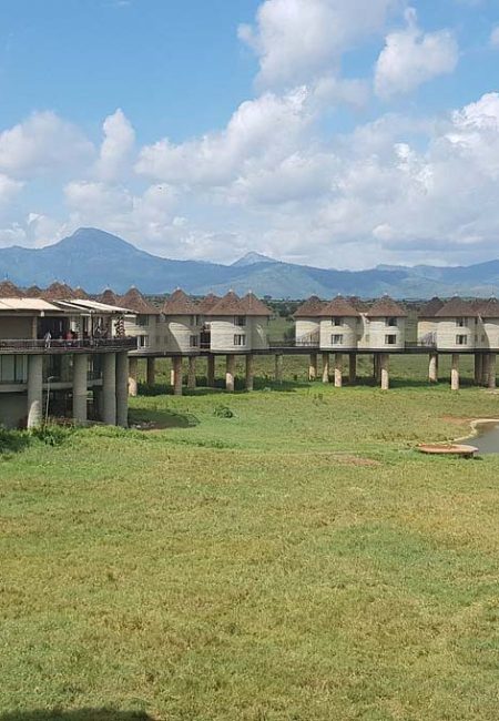 taita-salt-lick-lodge-amin-kenya-safaris taita-salt-lick-lodge-amin-kenya-safaris